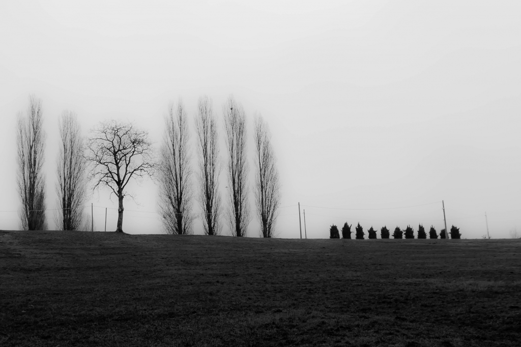 morimondo minimal 2.0