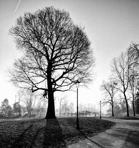 Parco del Valentino, Torino