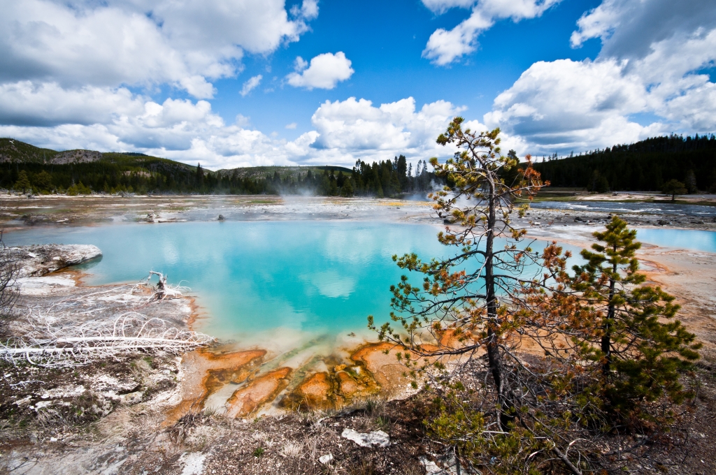 Yellowstone