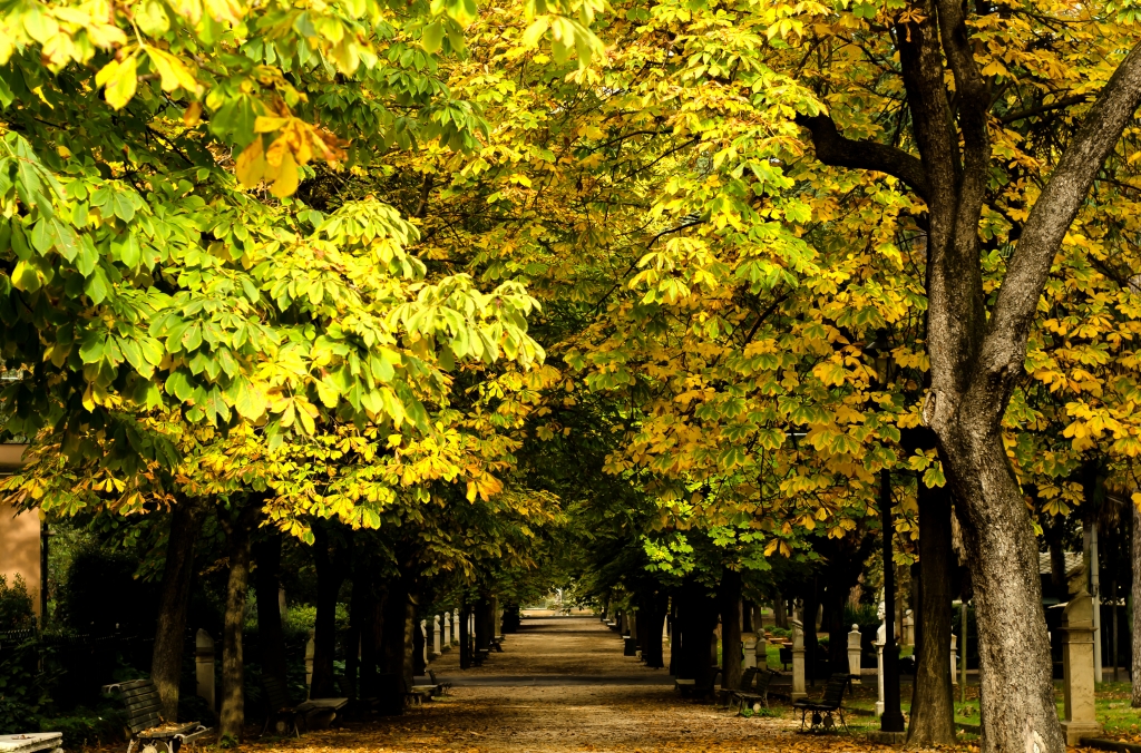 Villa Borghese a Roma.