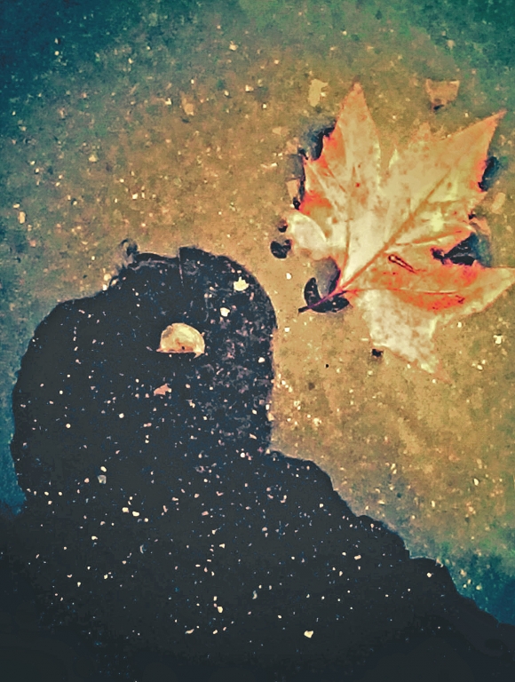 Riflessi d'autunno