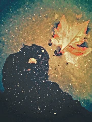 Riflessi d'autunno