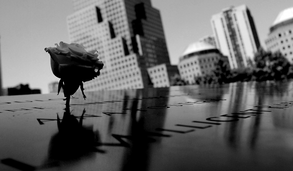 La rosa del ricordo