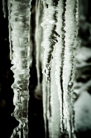 Magie d'inverno