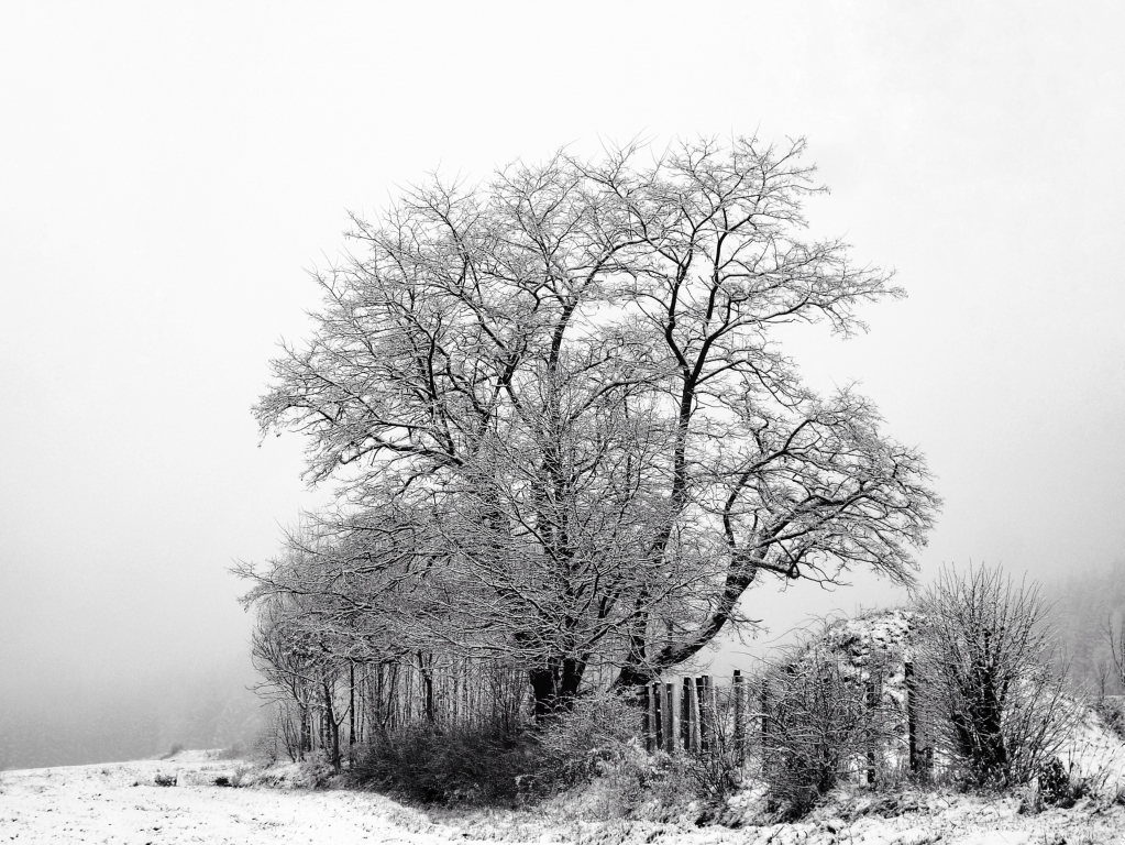 Marzo e l'inverno..