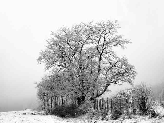 Marzo e l'inverno..