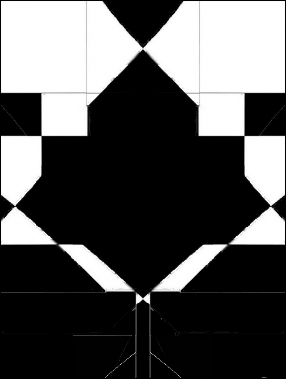 fiori.nero.1