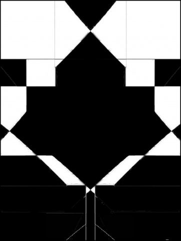 fiori.nero.1