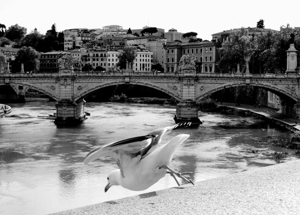 Lancio nel vuoto, Roma