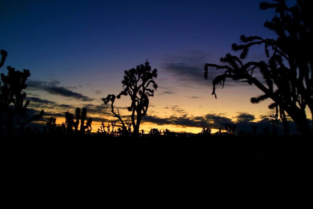 Tramonto sul Mojave desert, California