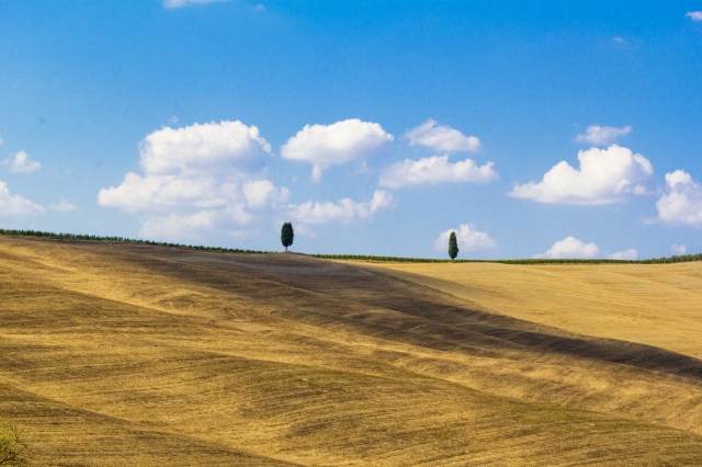 Paesaggio della Val D Orcia