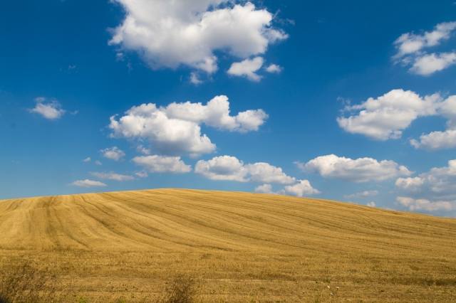 Paesaggio della Val D Orcia