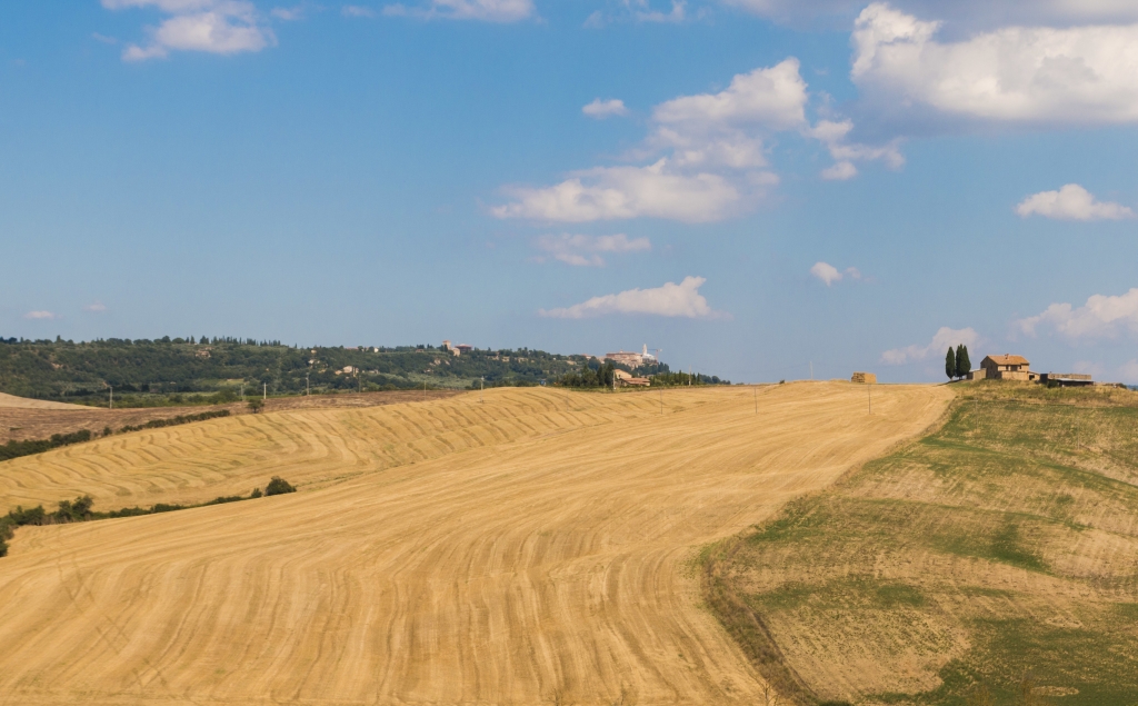Paesaggio della Val D Orcia