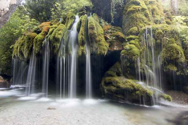 Cascate capelli di Venere