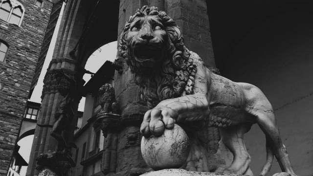 Lion - Florence / Leone - Firenze