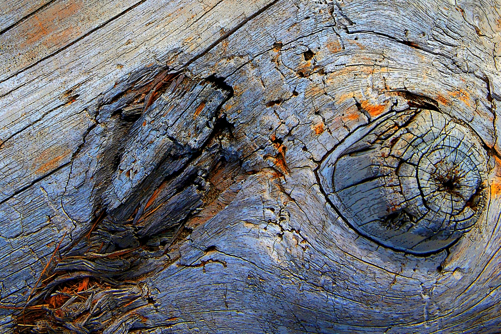 Marine wood 01