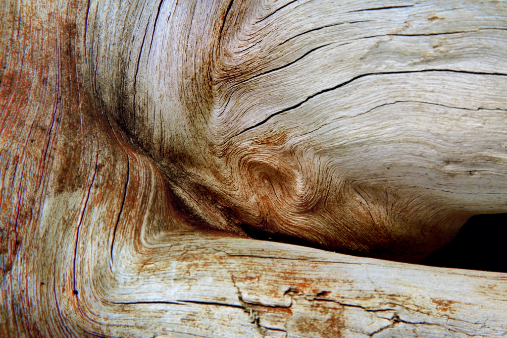 Marine wood 05