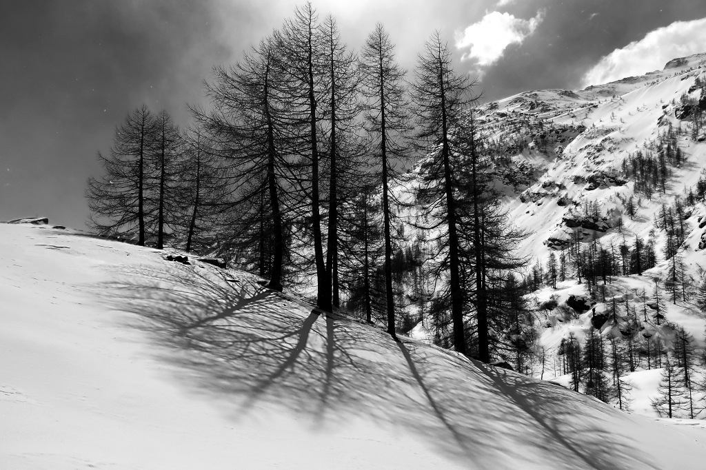 Ceresole