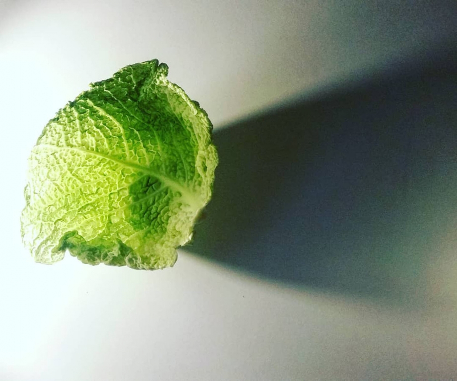 Beauty Green