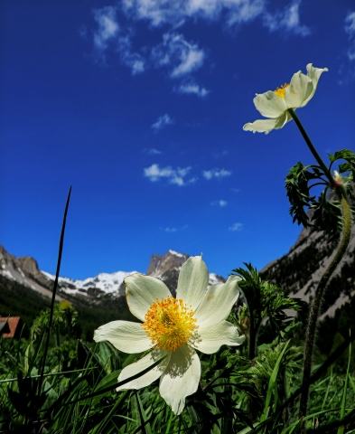 Il narciso! · loveombra