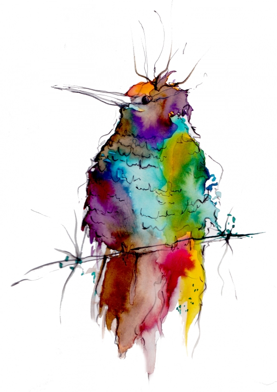 Erika Riciniello-Watercolour Bird