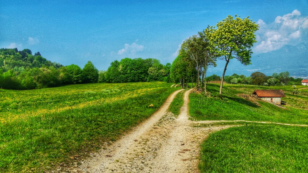 Strada in campagna
