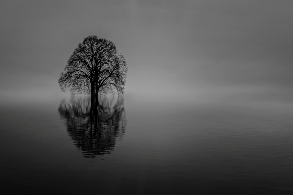 Riflessi alle Torbiere