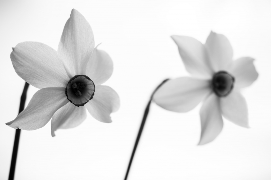 Delicate sensazioni