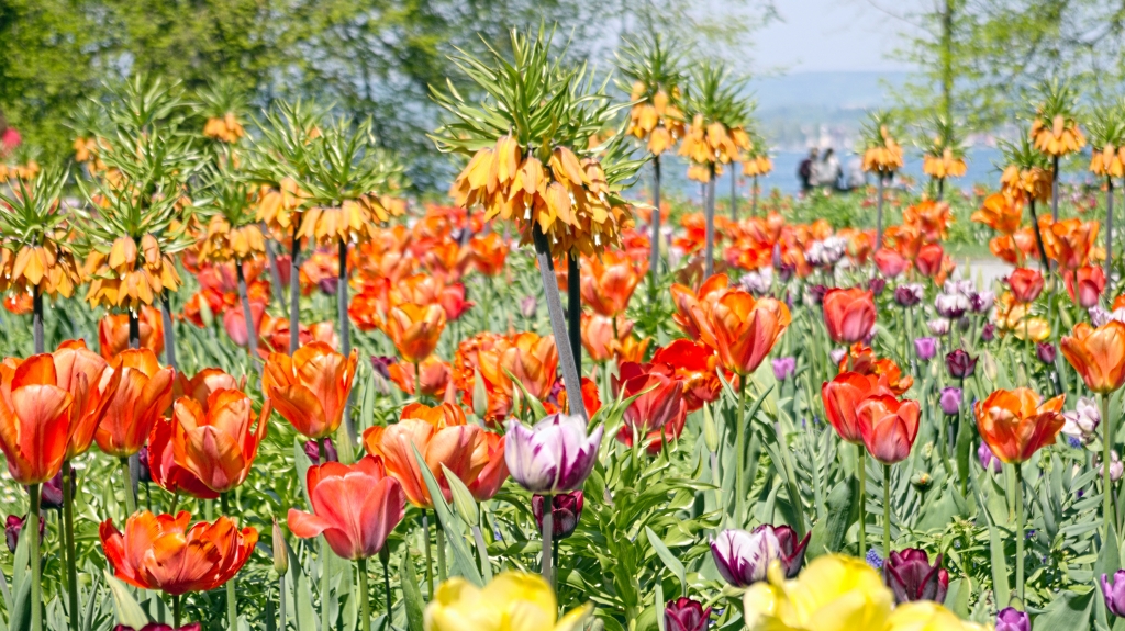 Colori di Primavera