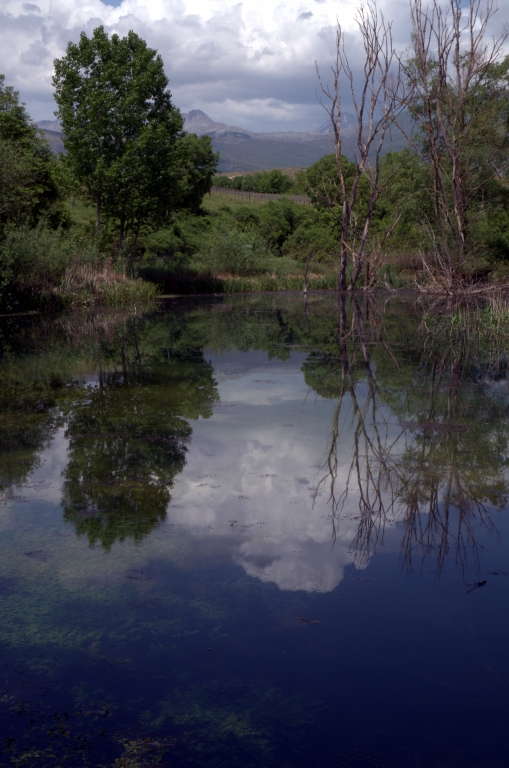 Reflections on the little lake water