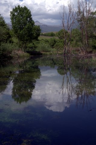 Reflections on the little lake water