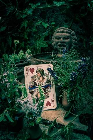 Il mio giardino segreto · soniamariastierli