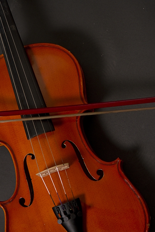 Violino