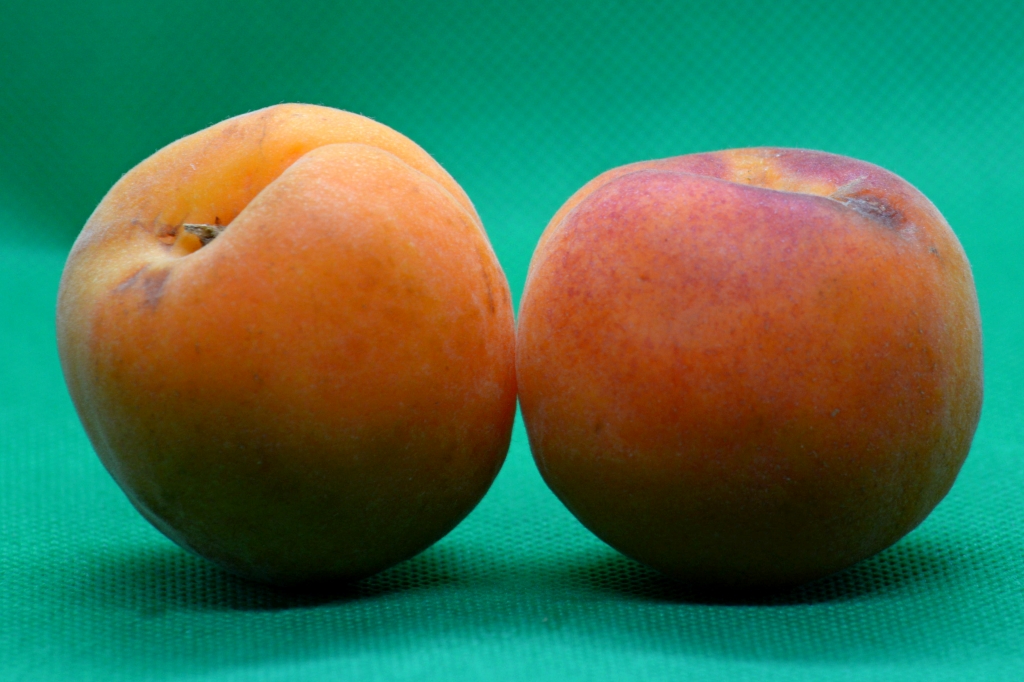 Summer fruit on the table