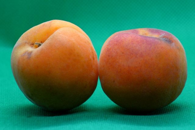 Summer fruit on the table