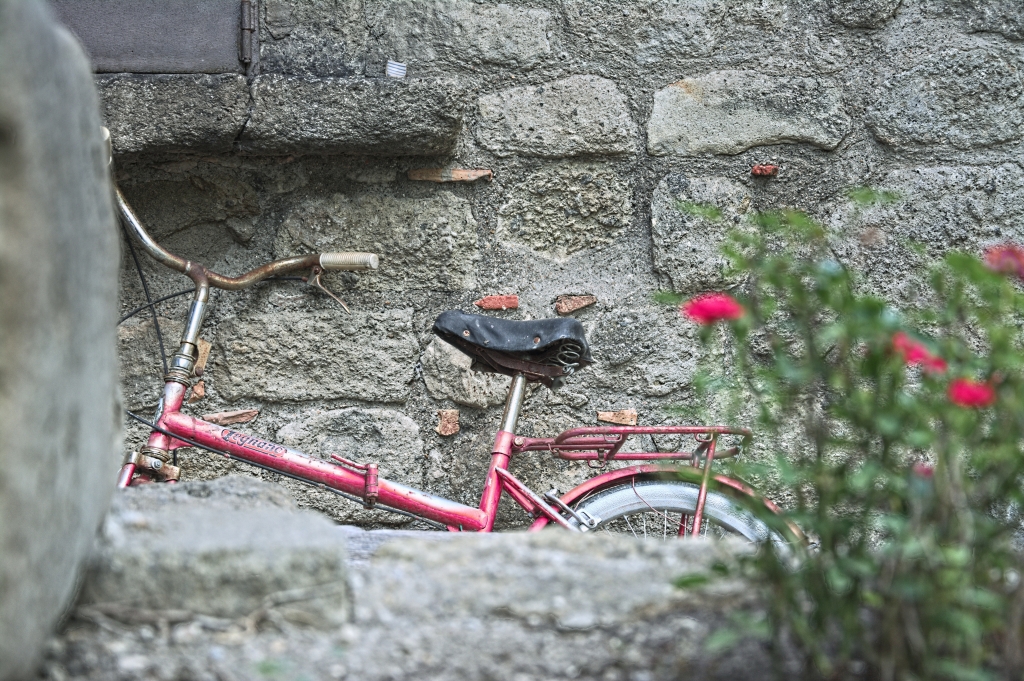 La bici