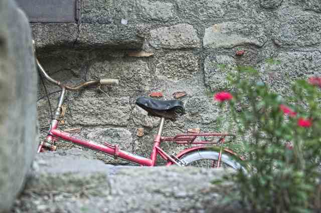 La bici