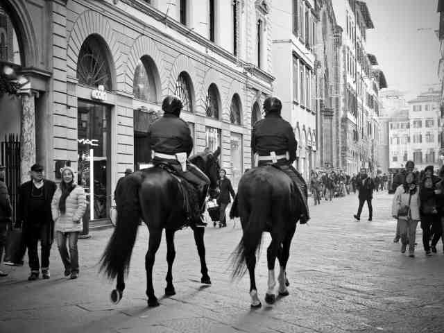 Firenze ed i cavalli