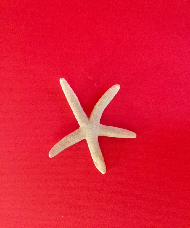 Stella Marina
