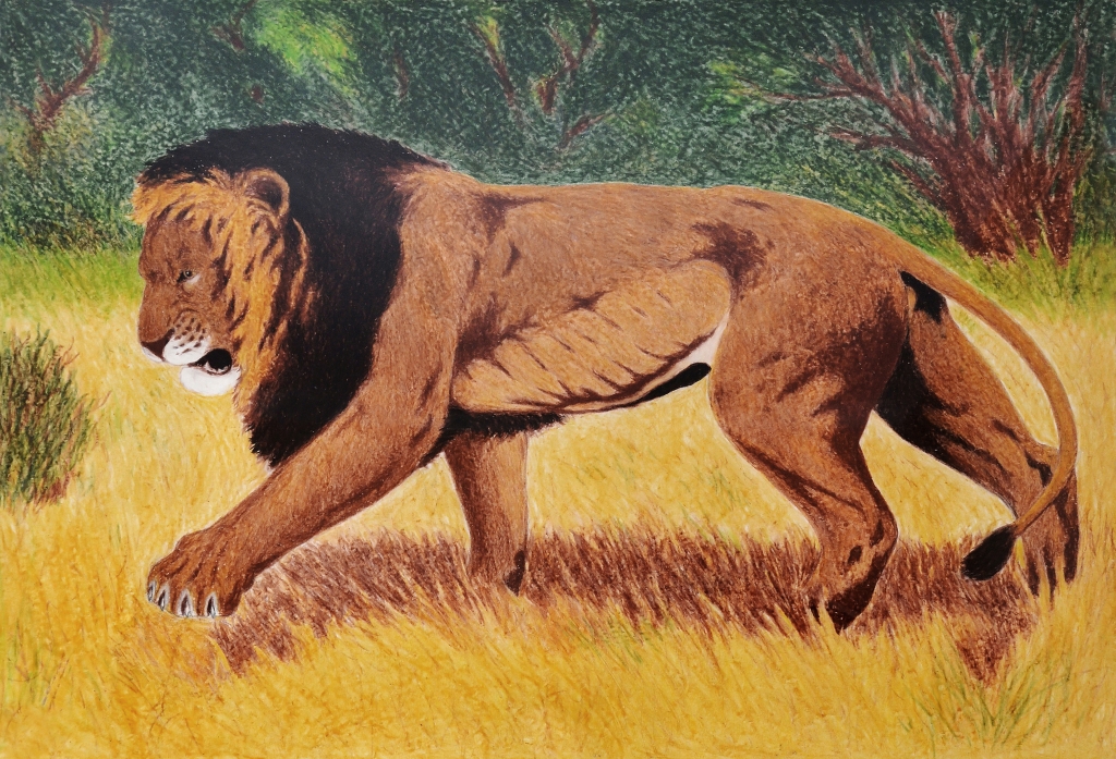 leone nella savana