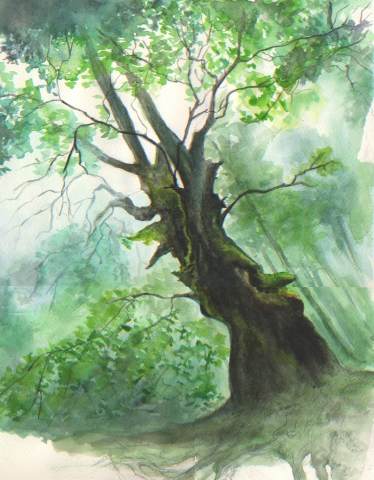 albero fatato