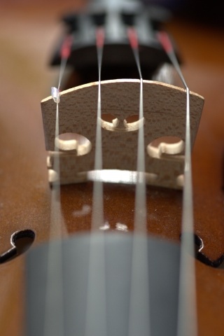 the classic violin bowed instrument