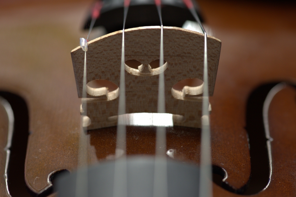 the classic violin bowed instrument