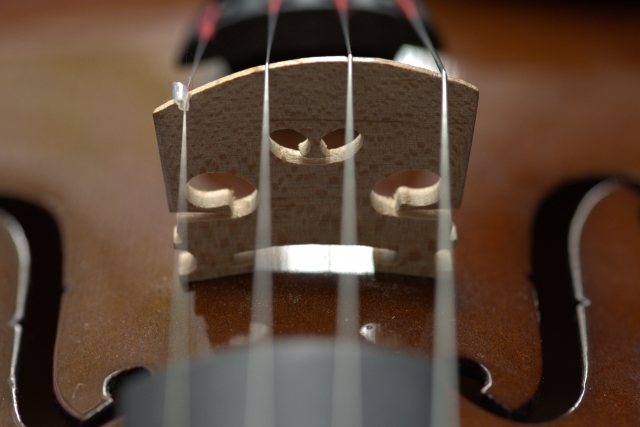 the classic violin bowed instrument