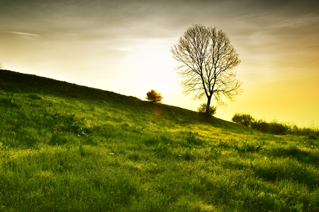 Alba autunnale