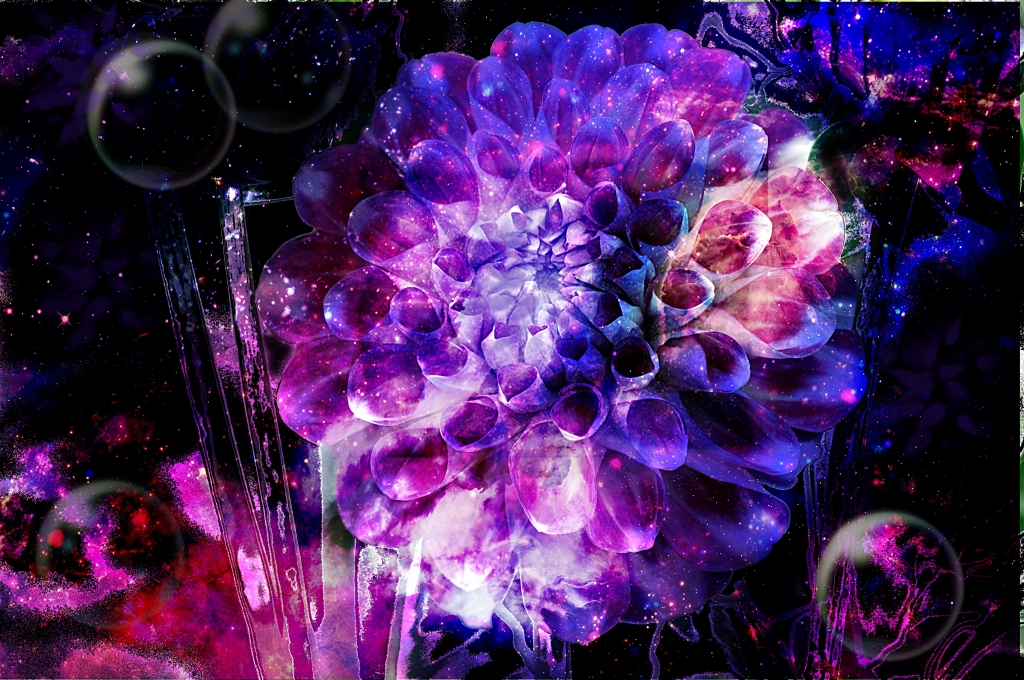 Space flower