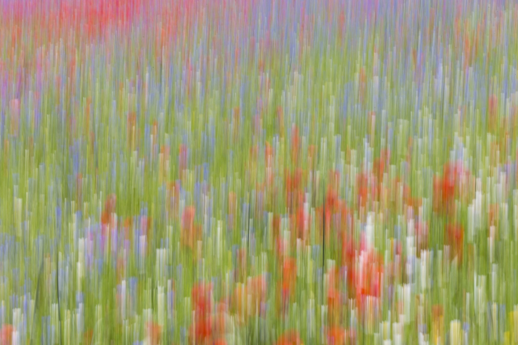 I colori di Castelluccio