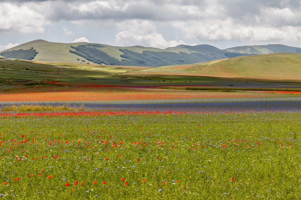 La piana di Castelluccio