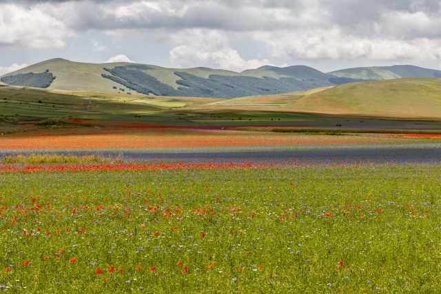 La piana di Castelluccio