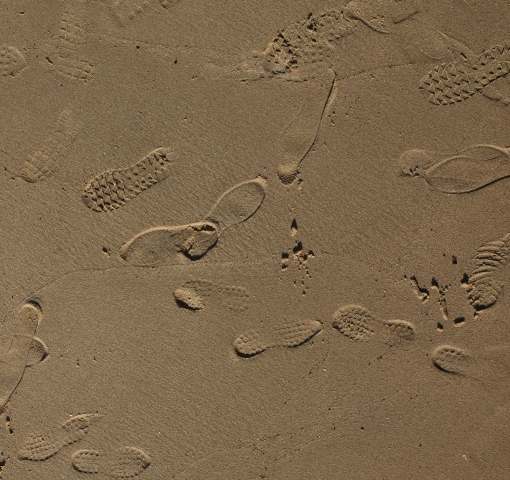 Fantasmi al mare